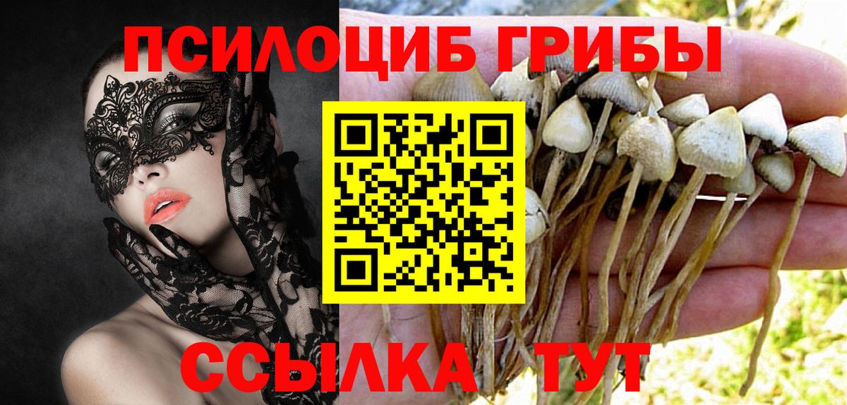 Галлюциногенные грибы Psilocybine cubensis Отрадное