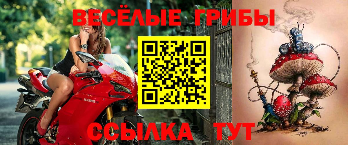 купить наркотики цена  Вход с VPN  Отрадное  Галлюциногенные грибы прущие грибы 