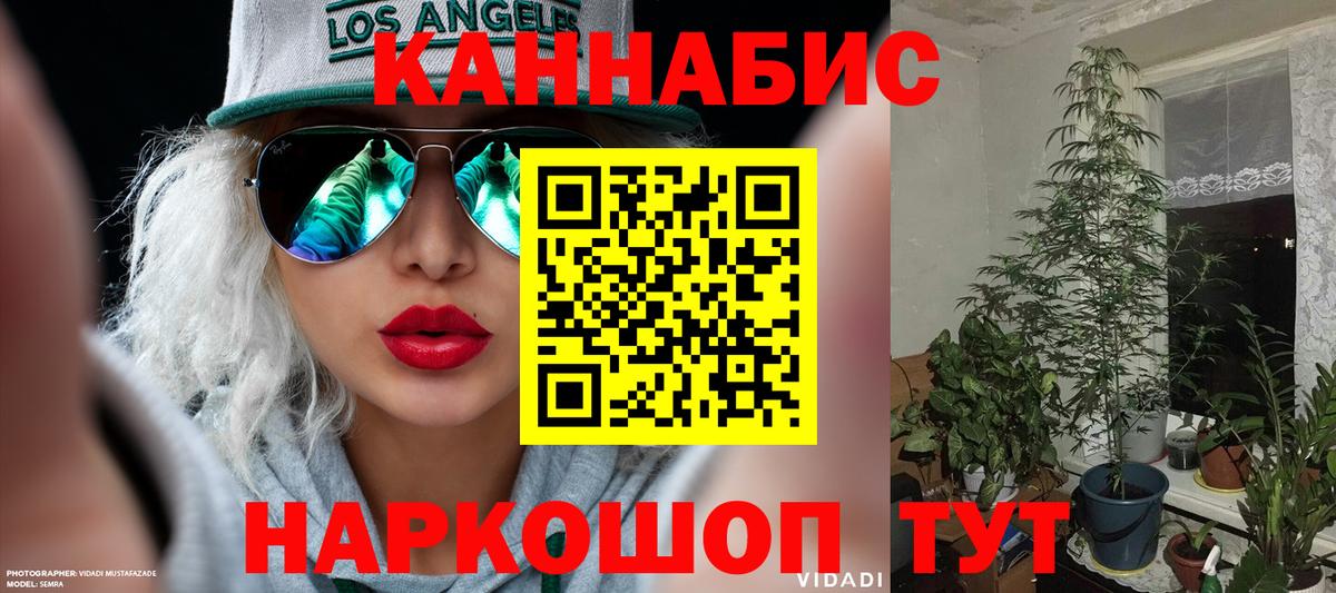Отрадное  Бошки Шишки ГИДРОПОН  МАРИХУАНА индика  МАРИХУАНА индика  Канабис MAZAR  Вход с VPN 